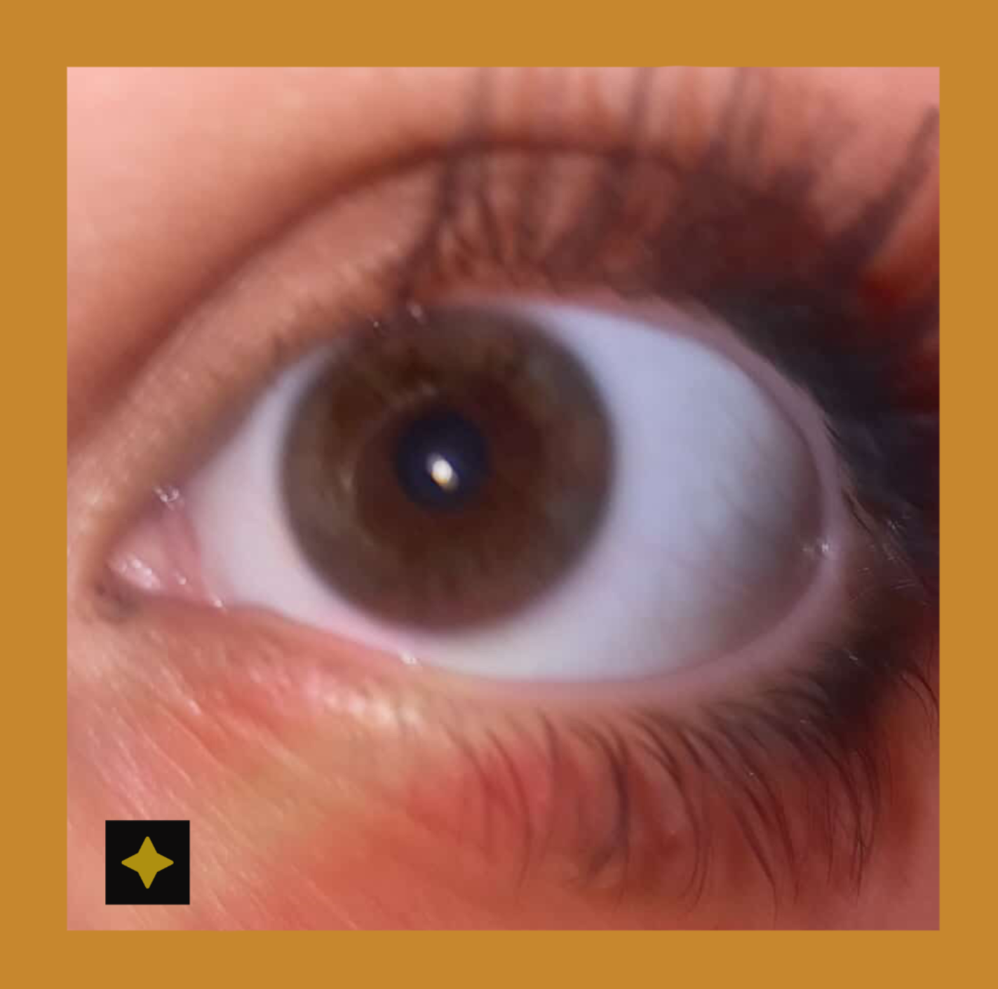 i love you so much (PLP)